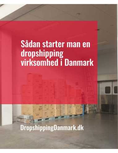 Sådan starter man en dropshipping virksomhed i...
